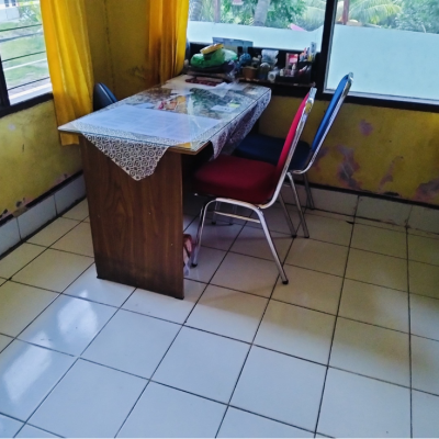 Sarana5
