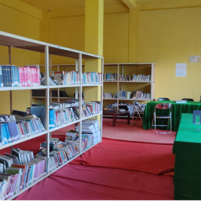 Sarana8